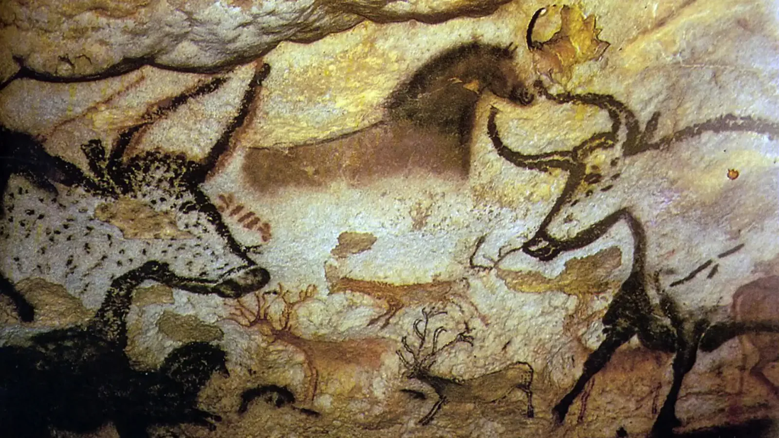 Ancient Human DNA Found on Cave Walls Could Rewrite Prehistoric Art History