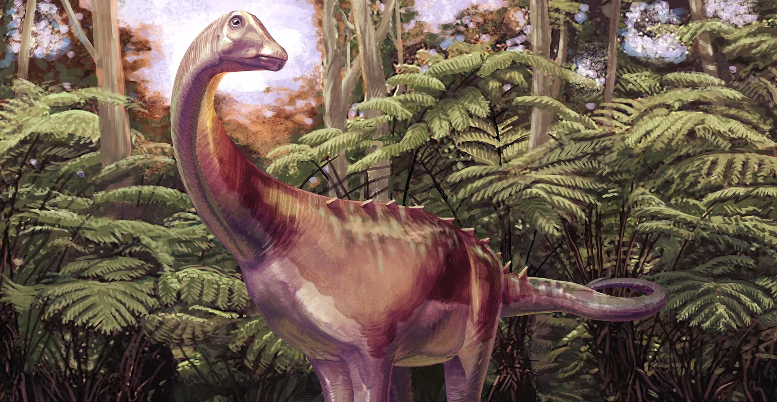 Antarctica Dinosaur Fossil Identified as Titanosaur