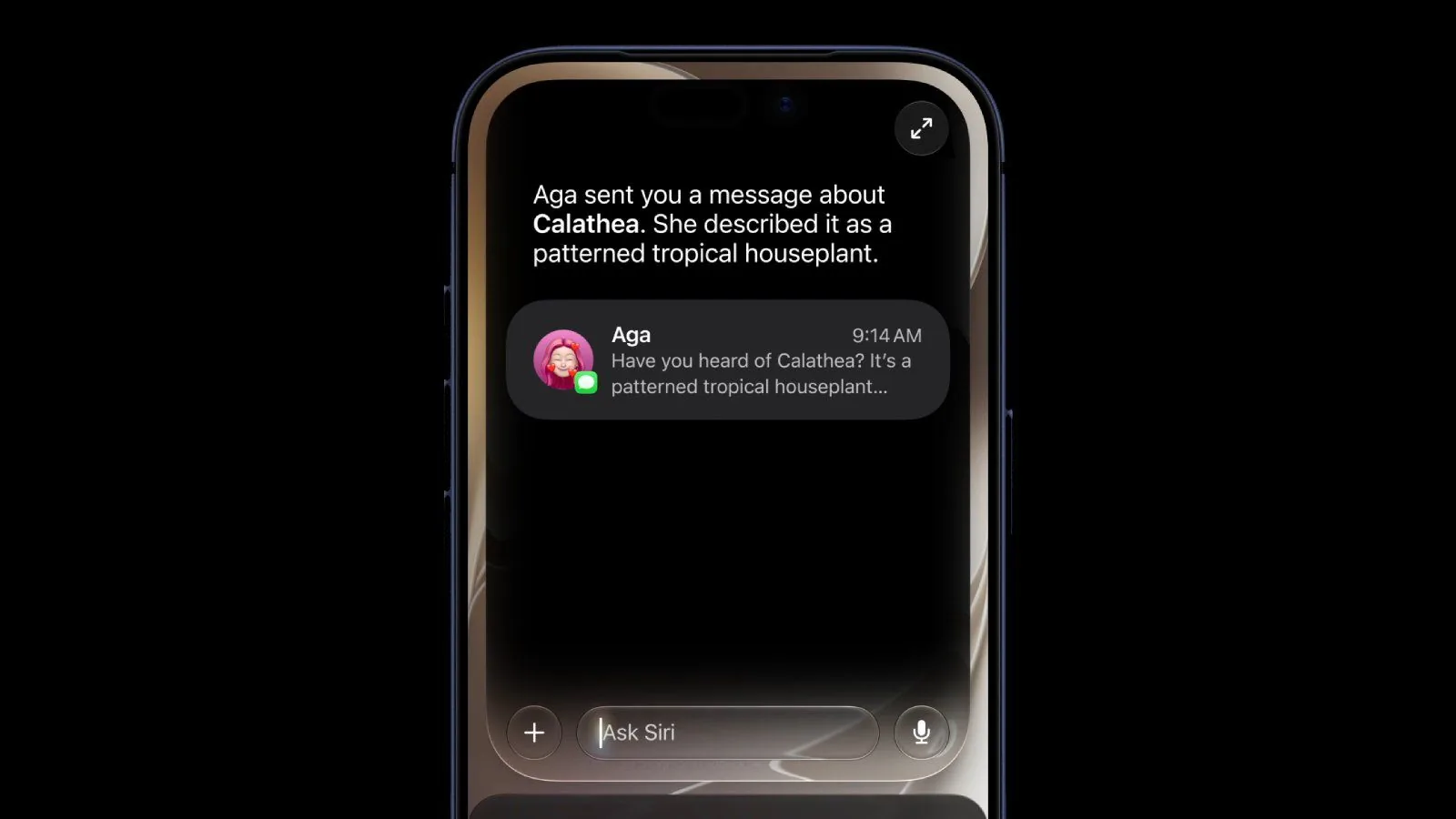 Apple's Craig Federighi on Siri Chatbot App Pivot