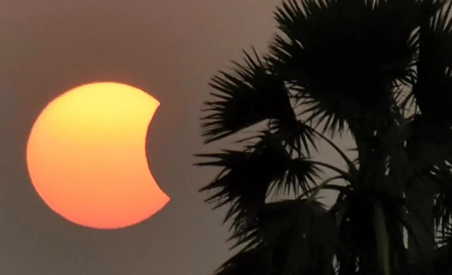 Aug. 12 Eclipse Peaks Perseid Meteor Shower Over North America