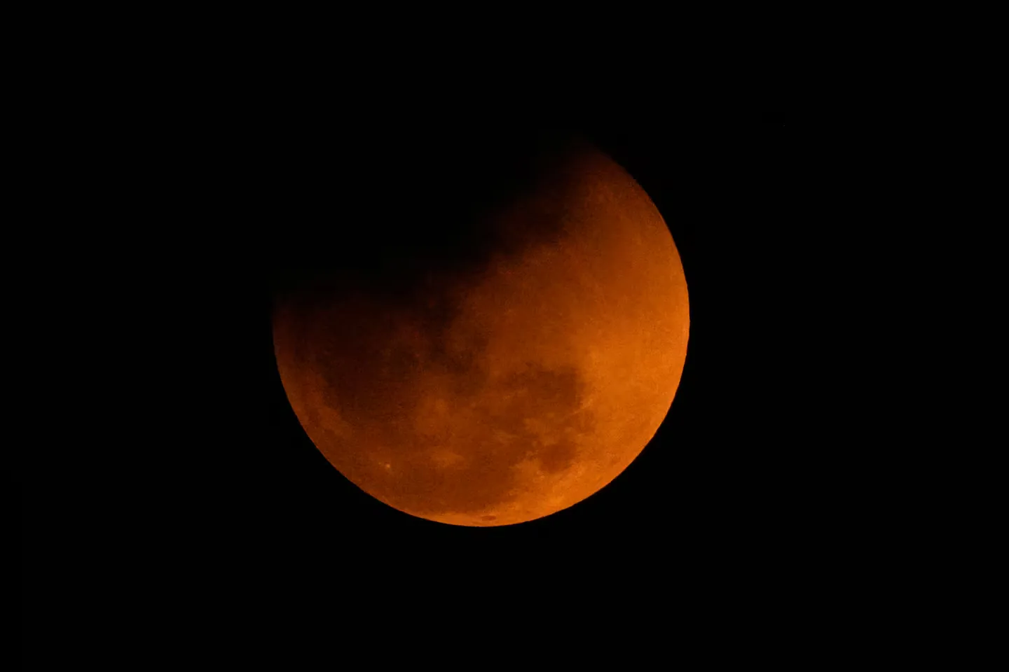 August Skies: Partial Lunar Eclipse, Perseids Meteor Shower, and Planets