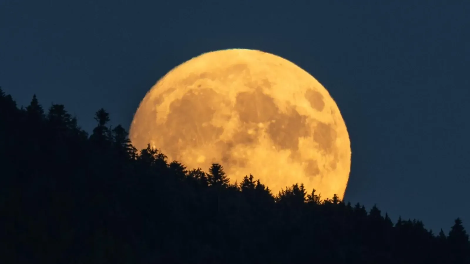 Buck Moon Sets Stage for August Total Solar Eclipse