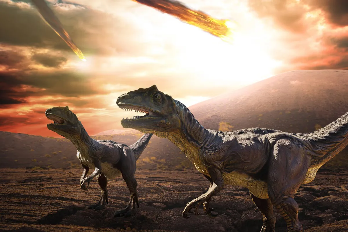Dinosaur-Killing Asteroid: Rare Chondrite Meteorite Identified