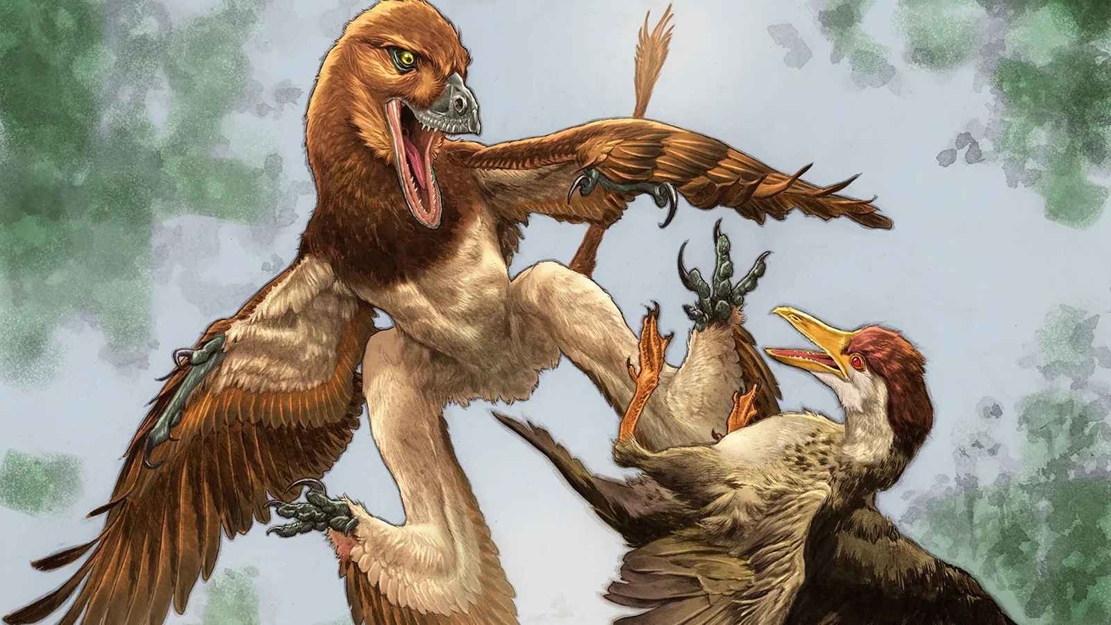 Four-Winged 'Dragon' Dinosaur Unearthed in Ancient China