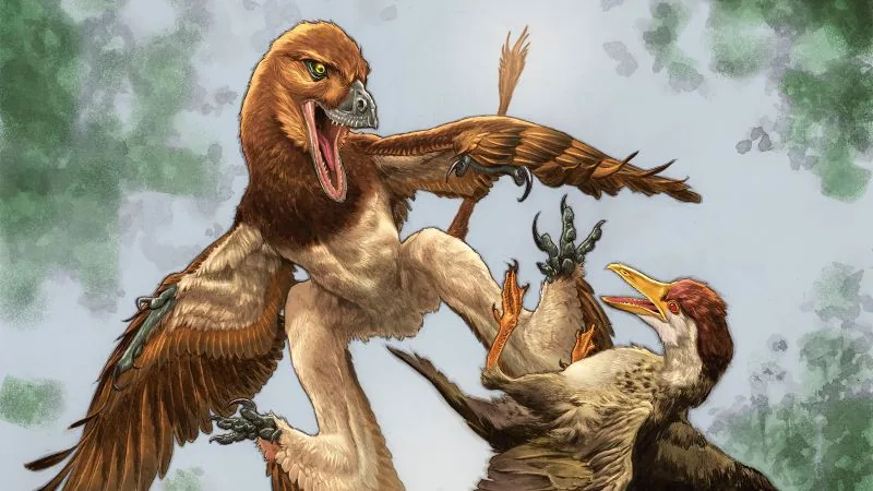 New Gliding Dinosaur Fossil Reveals Bird-Hunting Predator