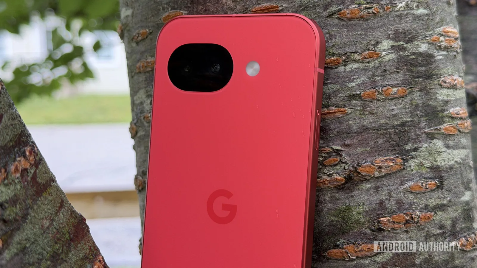Google Pixel 11a Specs Leak: Tensor G6 Chip, 8GB RAM Expected