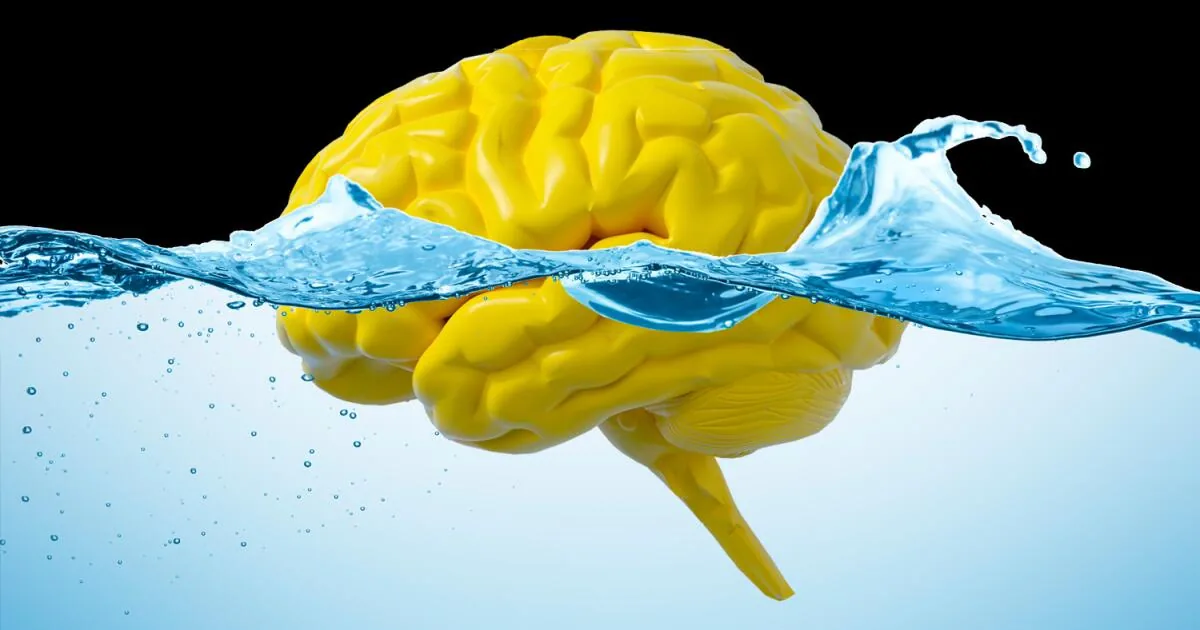 Gut Muscle Contractions May Help 'Flush' Brain Waste, Study Finds