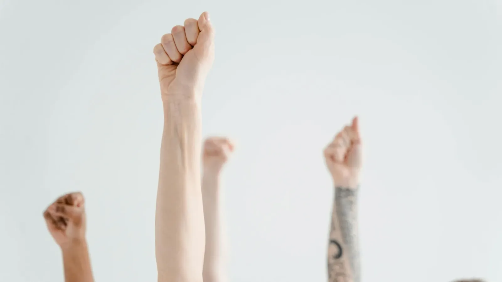 Why Humans Are Right-Handed: Evolutionary Secrets Revealed