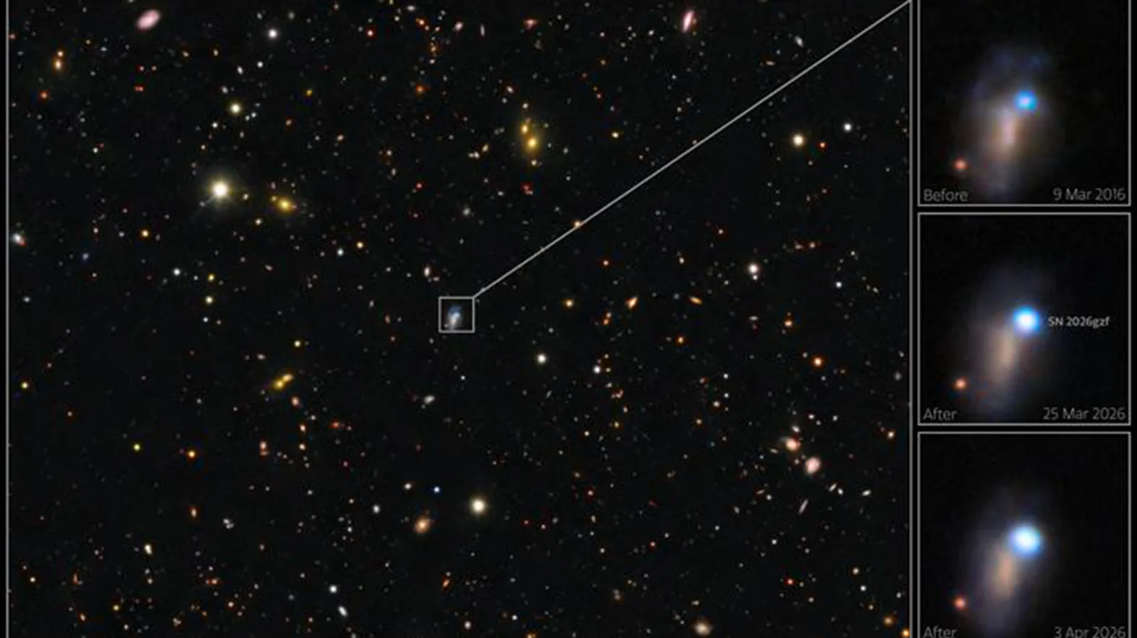Massive Star Supernova Observed by Global Telescope Network
