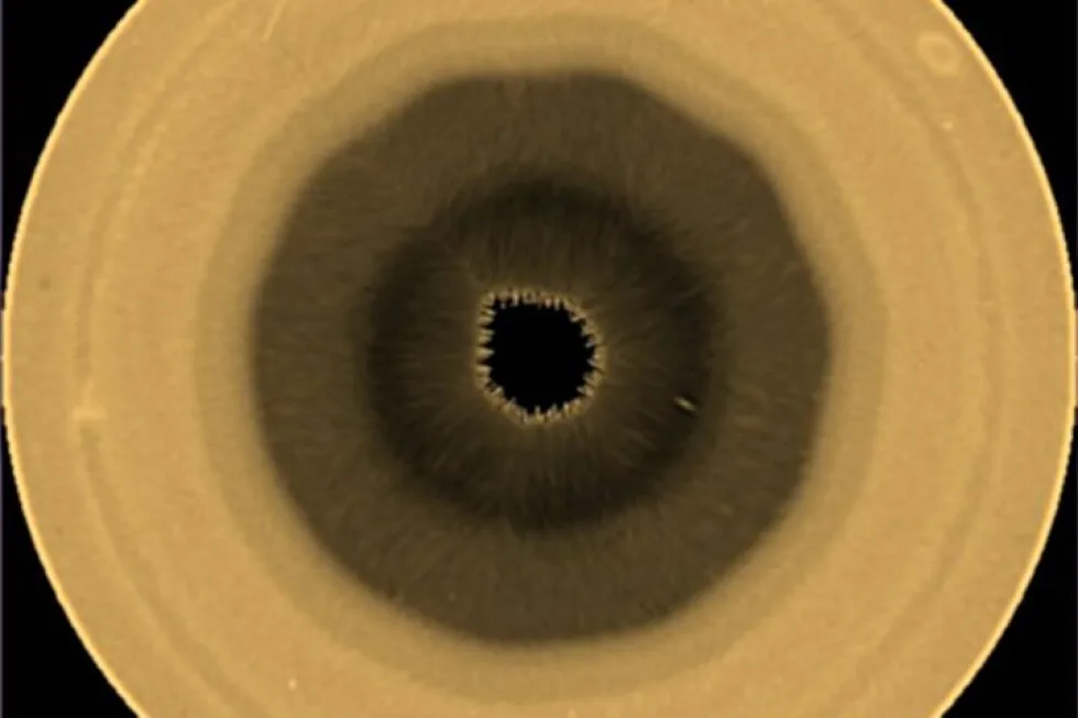 Saturn's South Pole Hosts Massive 10-Sided Cloud Pattern, Hubble Reveals