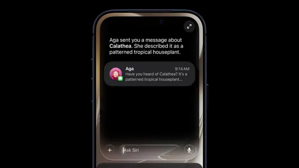 Apple's Craig Federighi on Siri Chatbot App Pivot
