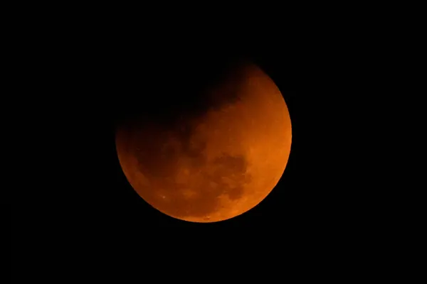 August Skies: Partial Lunar Eclipse, Perseids Meteor Shower, and Planets