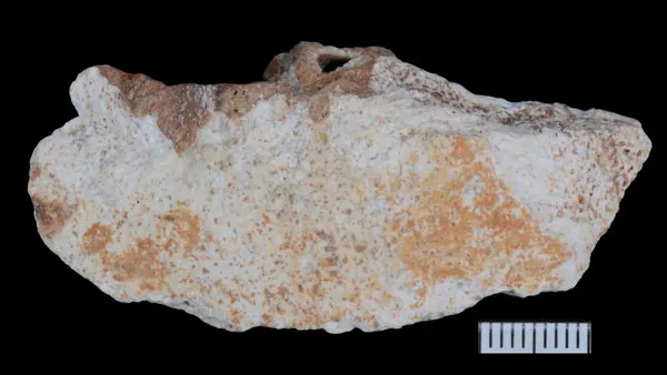 China Cave Fossils Reveal Denisovan Life 167,000 Years Ago