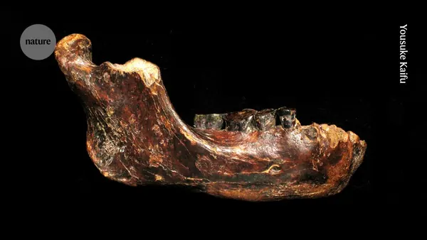 Denisovans: Chinese Cave Reveals Ancient Human Tool Use