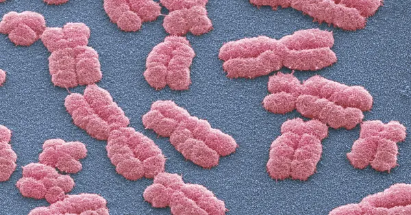 1,260 DNA Variants Linked to Personality Traits Discovered