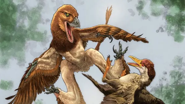 New Gliding Dinosaur Fossil Reveals Bird-Hunting Predator