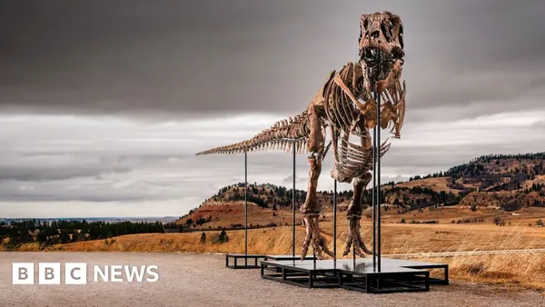 Gus the T. Rex Fossil May Fetch Record Price at Sotheby's Auction
