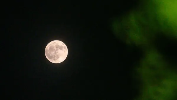 July Buck Moon Peaks 2026: How to See Lunar Event