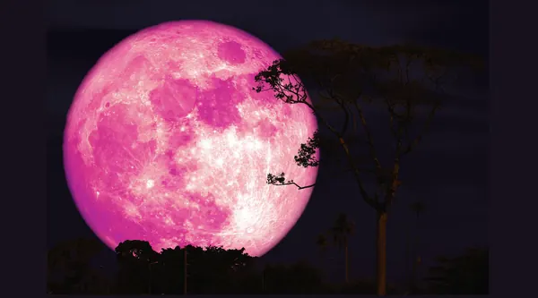 June Strawberry Moon 2026: When to See Supermoon Low in Sky