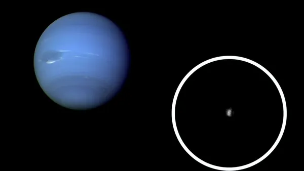 Webb Telescope Reveals Neptune Moon Nereid's Unusual Origin