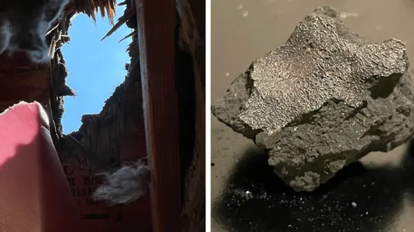 New Jersey Meteorite Holds Life's Building Blocks From Ancient Proto-Planet