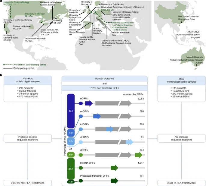 PeptideAtlas Adds Millions of Microproteins to Human Proteome