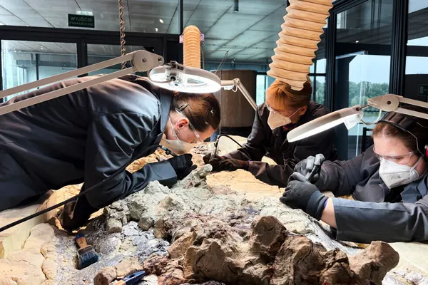 2,000 Volunteers Aid Restoration of Giant Prehistoric Predator Skeleton