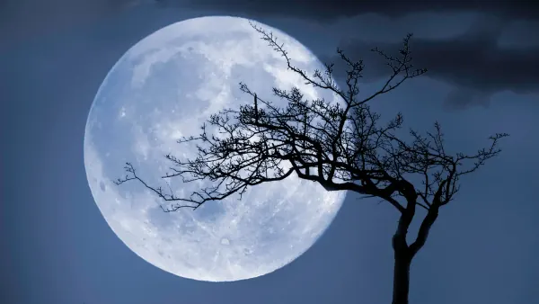 Rare Blue Moon Rises This Week as Venus and Jupiter Converge
