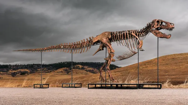 Record-Breaking T. Rex Fossil 'Gus' Fetches $50 Million at Auction