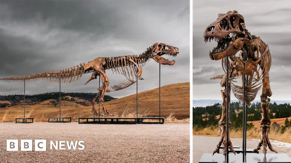 Record-Breaking Tyrannosaurus Rex Fossil Sells for $50 Million