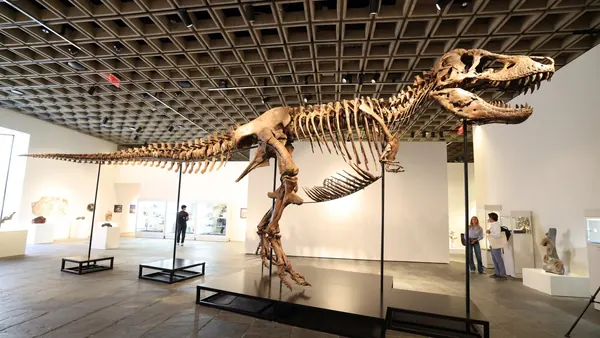 Rare T. Rex Fossil 'Gus' Fetches Up to $30 Million at Auction