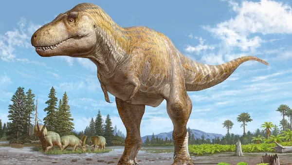Tyrannosaurus Rex Arms Mystery Solved: Linked to Giant Heads and Jaws