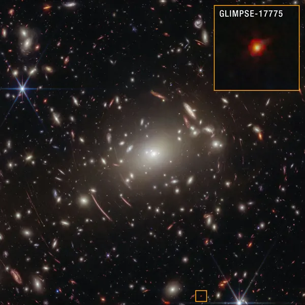 Webb Telescope Reveals Strongest Evidence for 'Black Hole Stars'